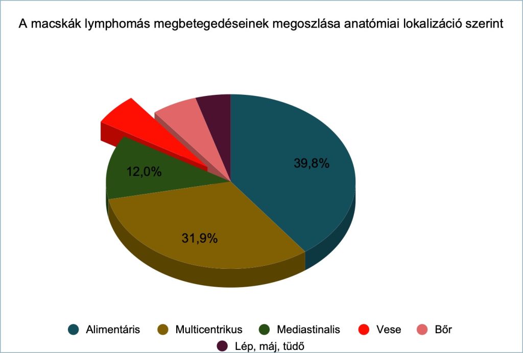 a macskák lymphomás megbetegedéseinek megoszlása anatómiai lokalizáció szerint grafikon